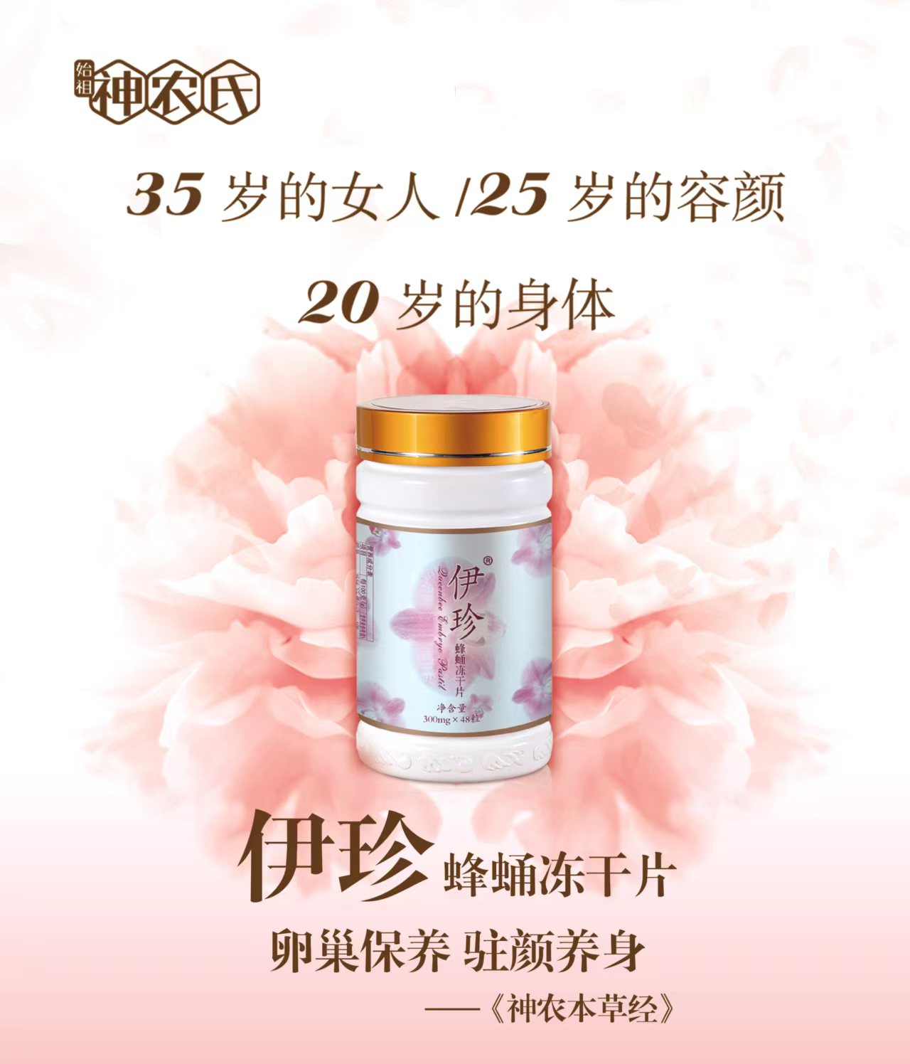伊珍蜂蛹冻干片